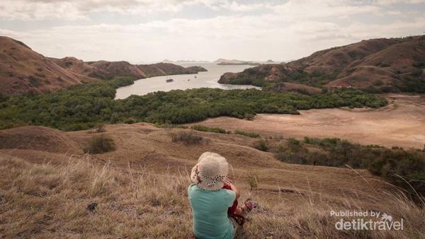 Tempat Terbaik Melihat Komodo