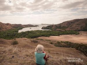 Tempat Terbaik Melihat Komodo