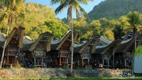 Tengkorak Tana Toraja