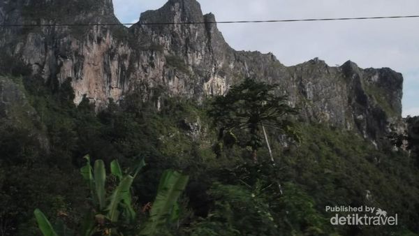 Terbuai Barisan Pegunungan Hijau di Enrekang, Sulsel