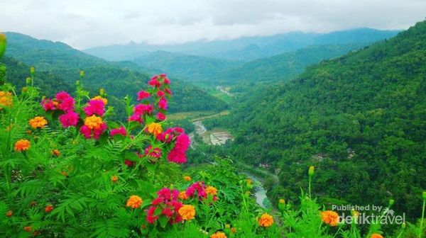 Terhipnotis Eksotisme Alam Kulon Progo Yogyakarta