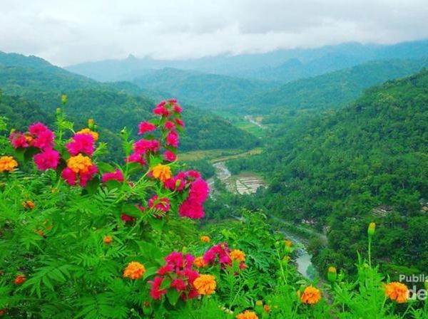 Terhipnotis Eksotisme Alam Kulon Progo Yogyakarta