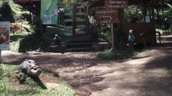 Terminal Anti Mainstream di Bandung Barat