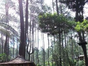 Terminal Anti Mainstream di Bandung Barat