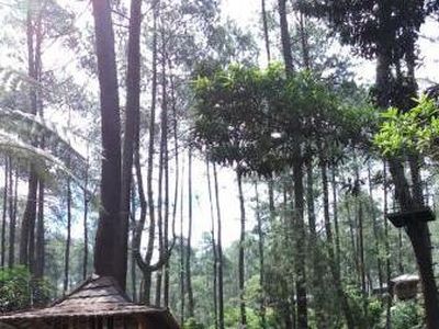 Terminal Anti Mainstream di Bandung Barat