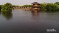 Ternyata Ada Hutan Mangrove Cantik di Jakarta