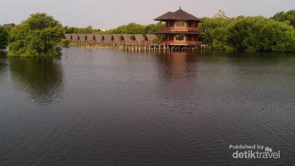 Ternyata Ada Hutan Mangrove Cantik di Jakarta