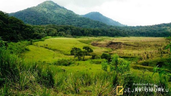 Ternyata Ada Savana Seindah Ini di Bandung