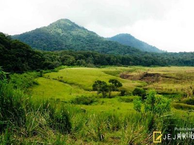 Ternyata Ada Savana Seindah Ini di Bandung