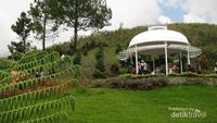 Ternyata di Karo Ada Taman Bunga Cantik
