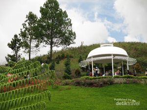 Ternyata di Karo Ada Taman Bunga Cantik