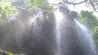 Terpesona Indahnya Air Terjun di Atas Goa Tetes Lumajang