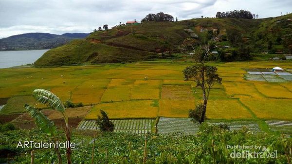 Terpesona Indahnya Danau Diatas di Solok