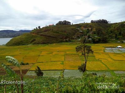 Terpesona Indahnya Danau Diatas di Solok