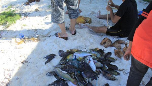 Terpesona Pulau Tolobundu, Keindahan Bahari di Sulteng
