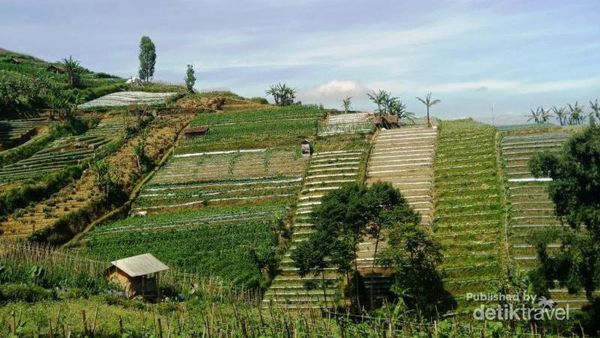 Traveler Siap? Ini Bukit Panyaweuyan di Majalengka