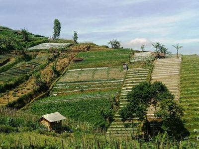 Traveler Siap? Ini Bukit Panyaweuyan di Majalengka