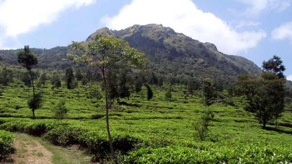 Trekking Santai di Ujung Selatan Kota Semarang