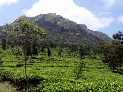 Trekking Santai di Ujung Selatan Kota Semarang