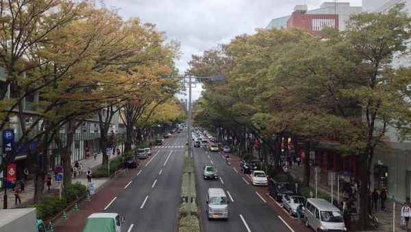 Trotoar Romantis di Harajuku