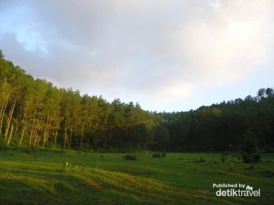 Unik! Ada Tanah Goyang di Ponorogo