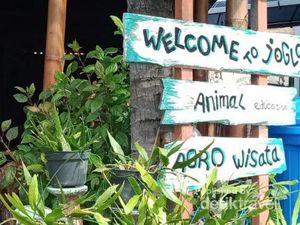 Unik, Restoran Ini Punya Kebun Binatang Mini
