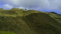 Uniknya Bukit Teletubbies di Puncak Gunung Prau