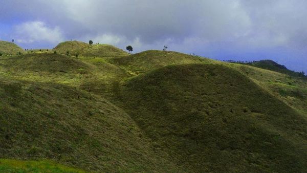 Uniknya Bukit Teletubbies di Puncak Gunung Prau