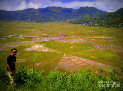 Uniknya Sawah Jaring Laba-Laba di Manggarai