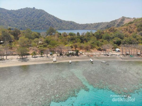 Uniknya Si Mungil Satonda