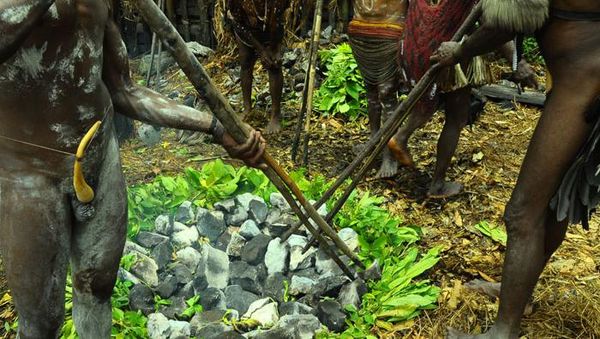 Upacara Bakar Batu di Wamena