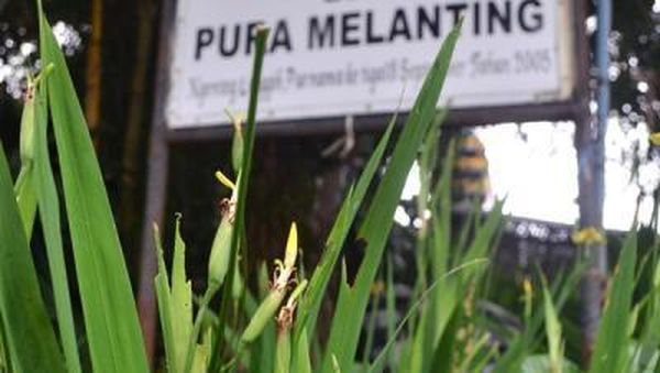 Wah, Ada 2 Pura Cantik di Bogor