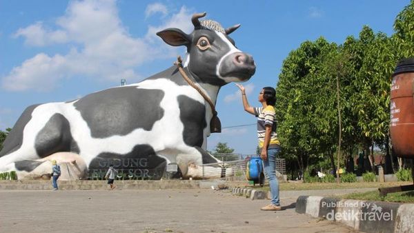 Wajah Boyolali yang Instagramable