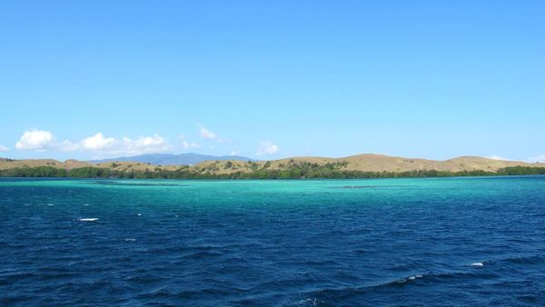 Warna-warni Laut Flores Barat yang Memukau