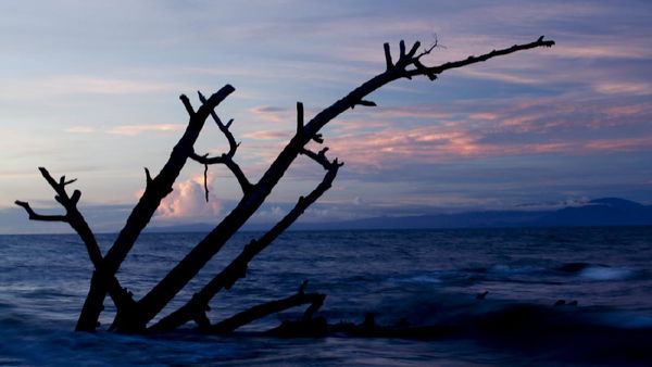 Waropen, Satu Lagi Surga di Ujung Timur Indonesia