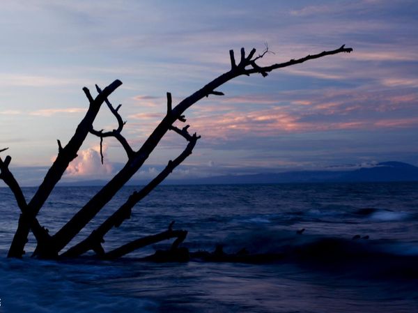 Waropen, Satu Lagi Surga di Ujung Timur Indonesia
