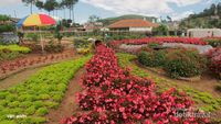 Weekend, Rekreasi Kebun di Lembang