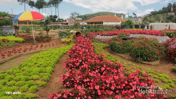Weekend, Rekreasi Kebun di Lembang