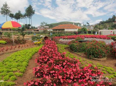 Weekend, Rekreasi Kebun di Lembang