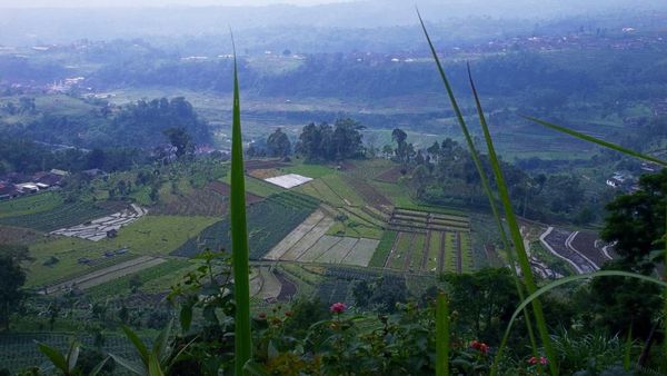 Wih! Panorama Gunung Lawu Sungguh Memukau