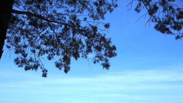 Wisata Alam di Singkawang, Kalimantan Barat