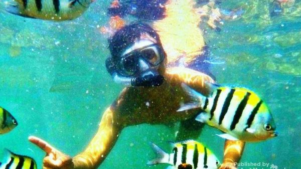 Wisata Irit di Gunungkidul, Mampir Saja ke Pantai