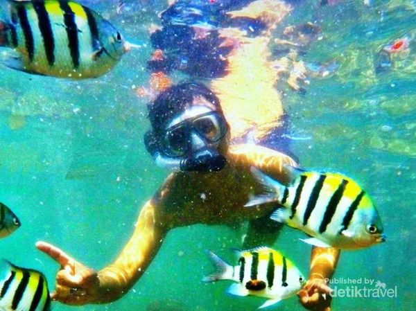 Wisata Irit di Gunungkidul, Mampir Saja ke Pantai
