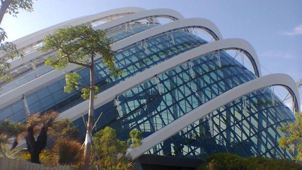 Wisata ke Gardens by the Bay yang Modern di Singapura