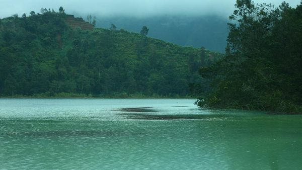 Wonosobo, Kota Dingin nan Sentimentil