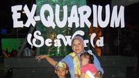 Wow! Ada Belut Raksasa di Sea World