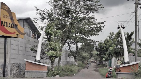 Wow! Ada Fosil 1 Juta Tahun di Museum Patiayam, Kudus