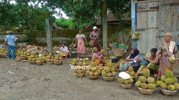Wow! Banjir Durian di Pusuk, NTB