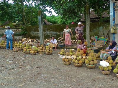 Wow! Banjir Durian di Pusuk, NTB