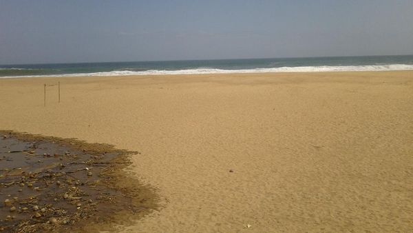 Wow! Cantiknya Pantai Sidomulyo di Pacitan